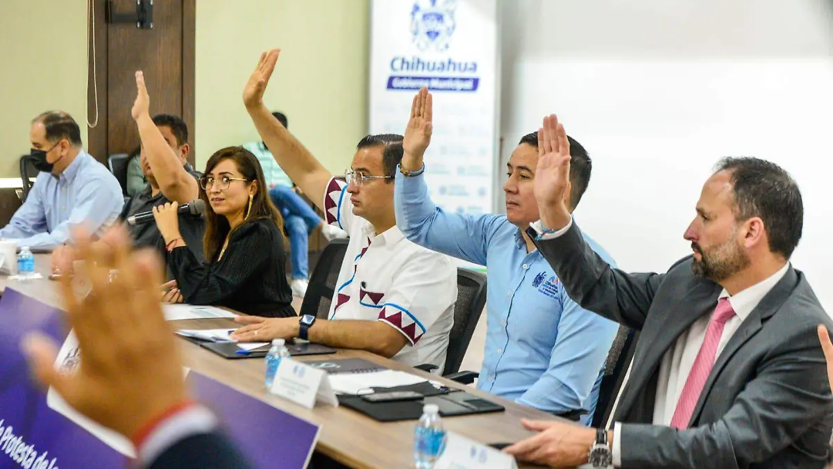 consejo municipal de seguridad